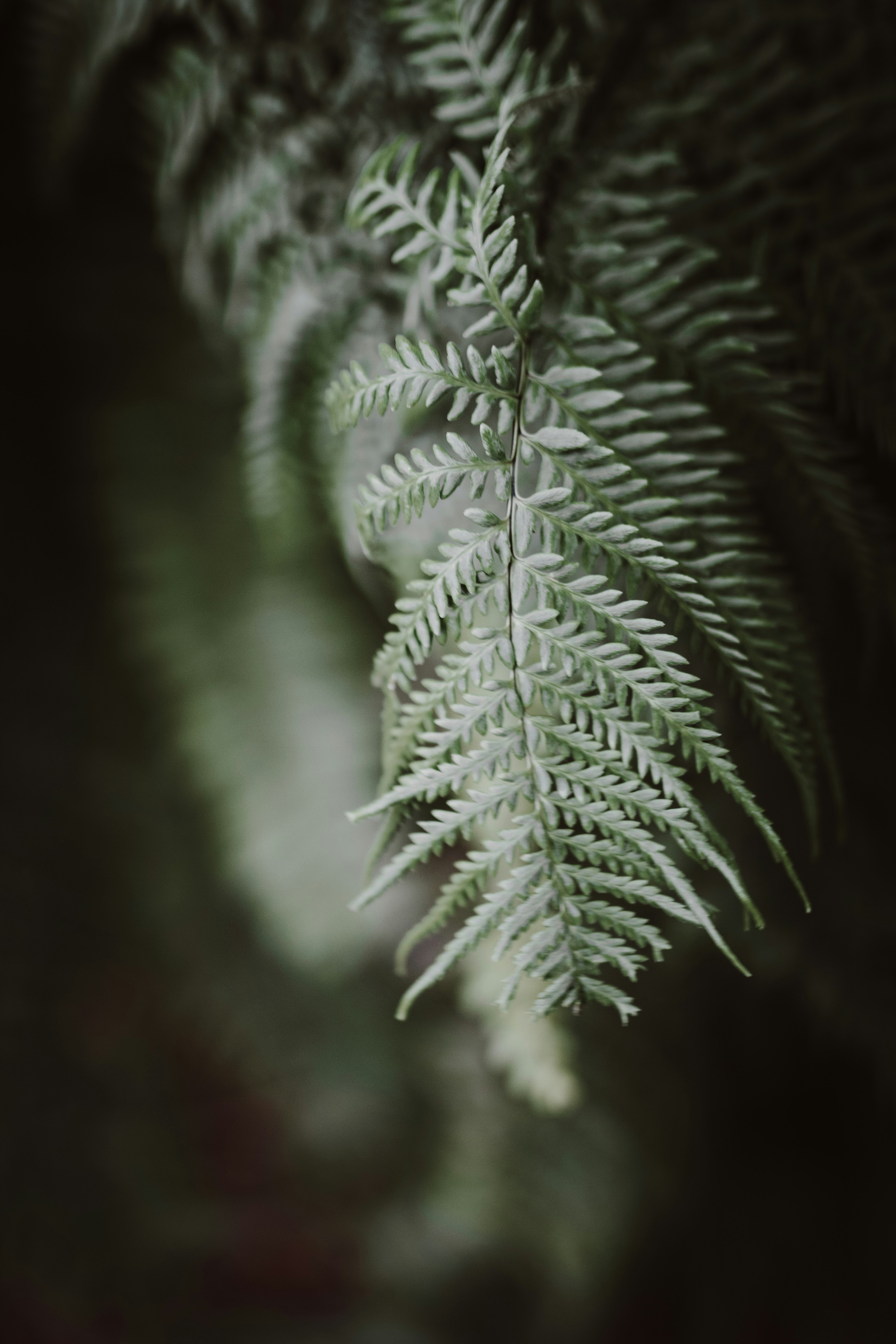 Photo by roberts_richie