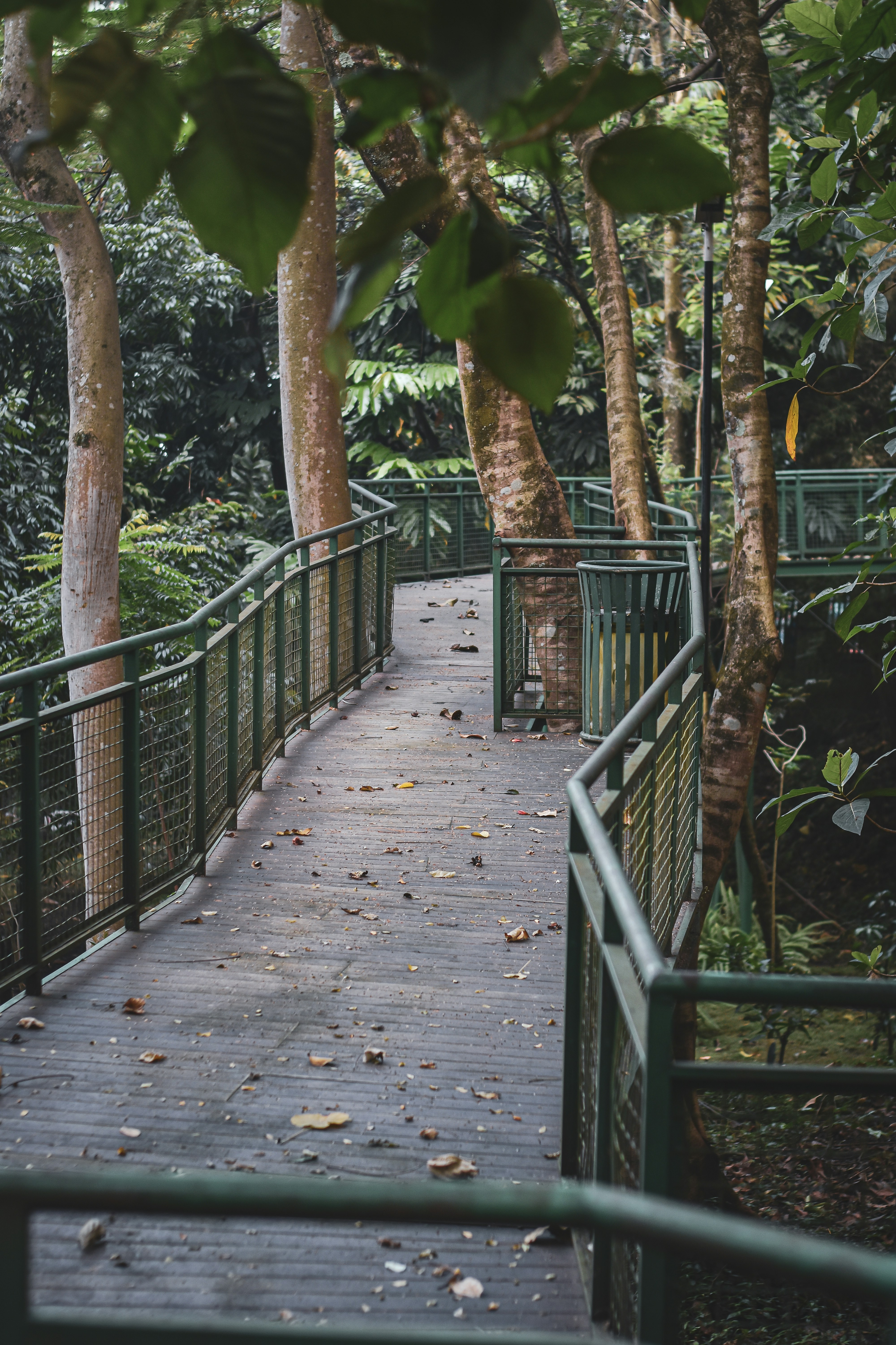 Photo by agusprasetyow