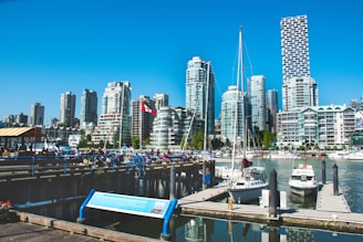 white and blue boat on dock near city buildings during daytime