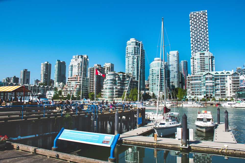 white and blue boat on dock near city buildings during daytime