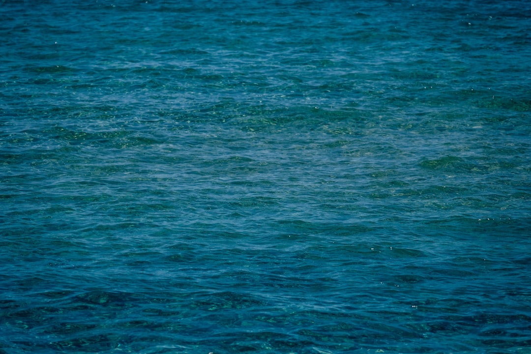 green body of water during daytime