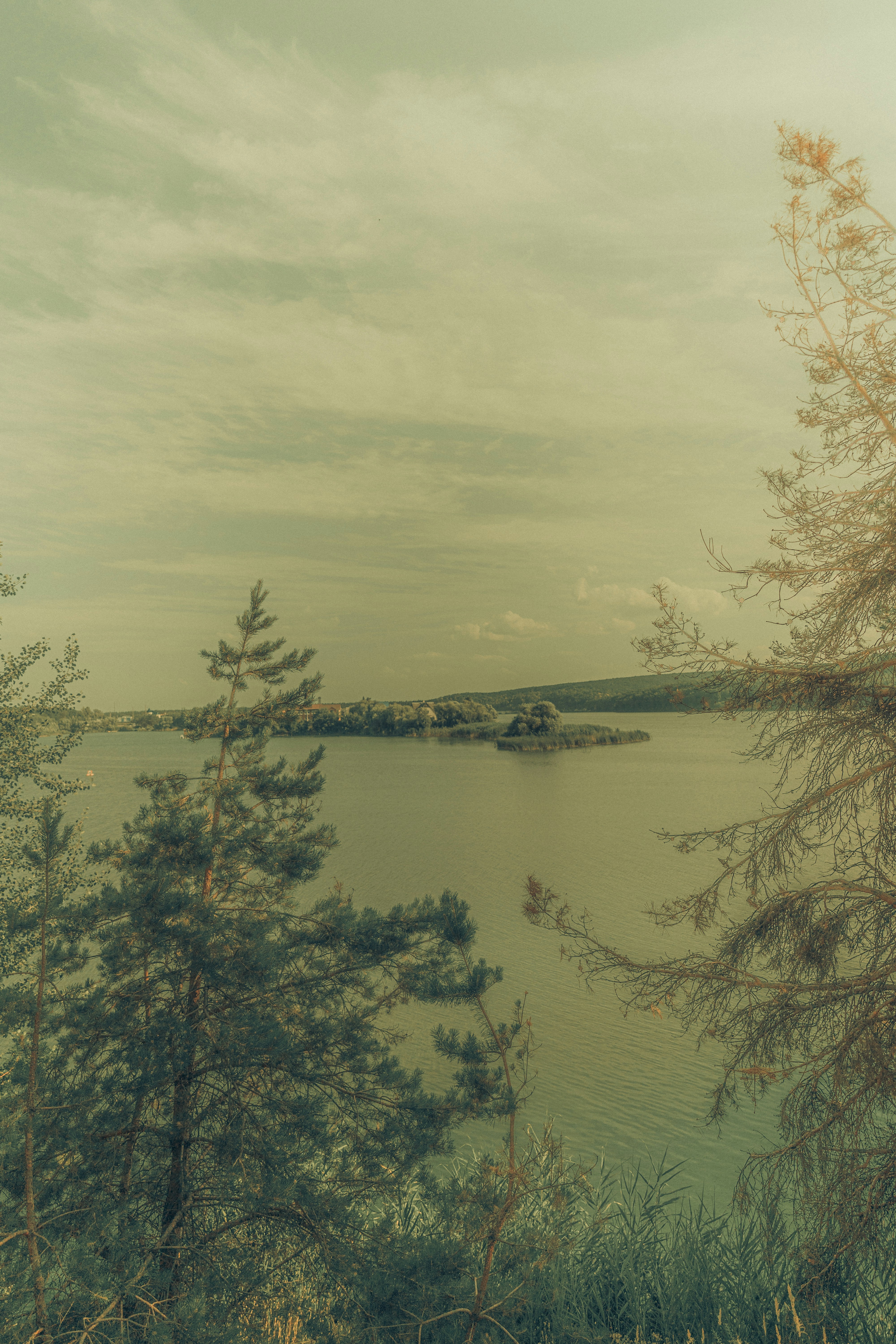 Photo by alexrybin