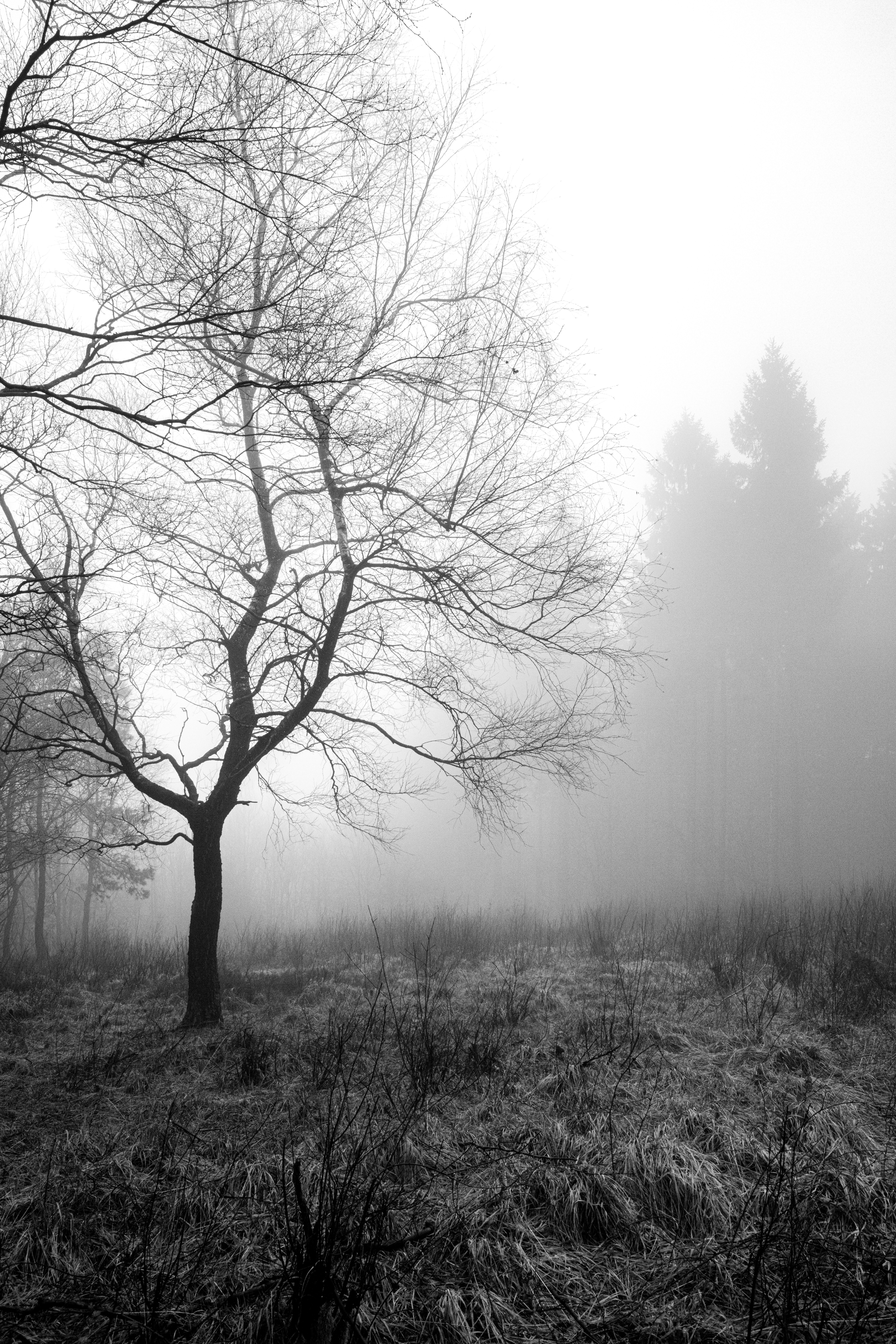 Photo by wilhelmgunkel