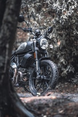 A rugged dirt bike parked on a forest trail, showcasing its freshly serviced engine.