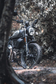 Close-up of a powerful motorcycle parked beside a lush forest trail.