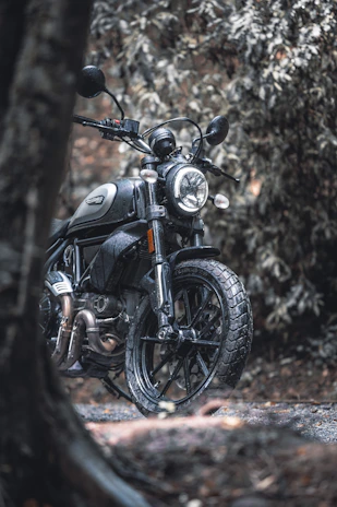 Close-up of a powerful motorcycle parked beside a lush forest trail.