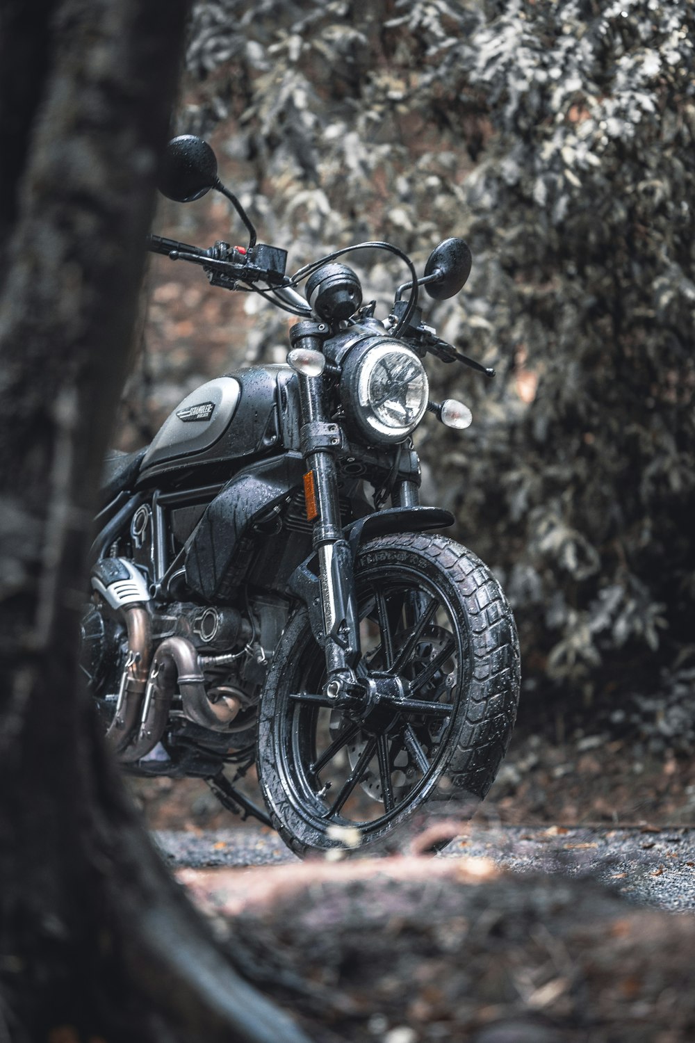 black and gray motorcycle parked beside brown tree during daytime
