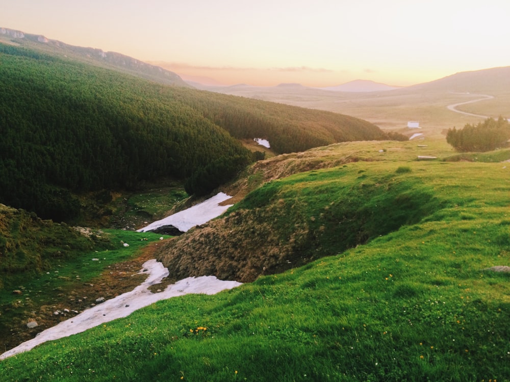 green grass field and river