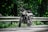 A motorcycle is parked on a winding road surrounded by lush green foliage. The sunlight filters through the trees, casting dappled shadows on the asphalt. The road is bordered by a metal guardrail, and the scene conveys a sense of tranquility and adventure.