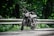 A motorcycle is parked on a winding road surrounded by lush green foliage. The sunlight filters through the trees, casting dappled shadows on the asphalt. The road is bordered by a metal guardrail, and the scene conveys a sense of tranquility and adventure.
