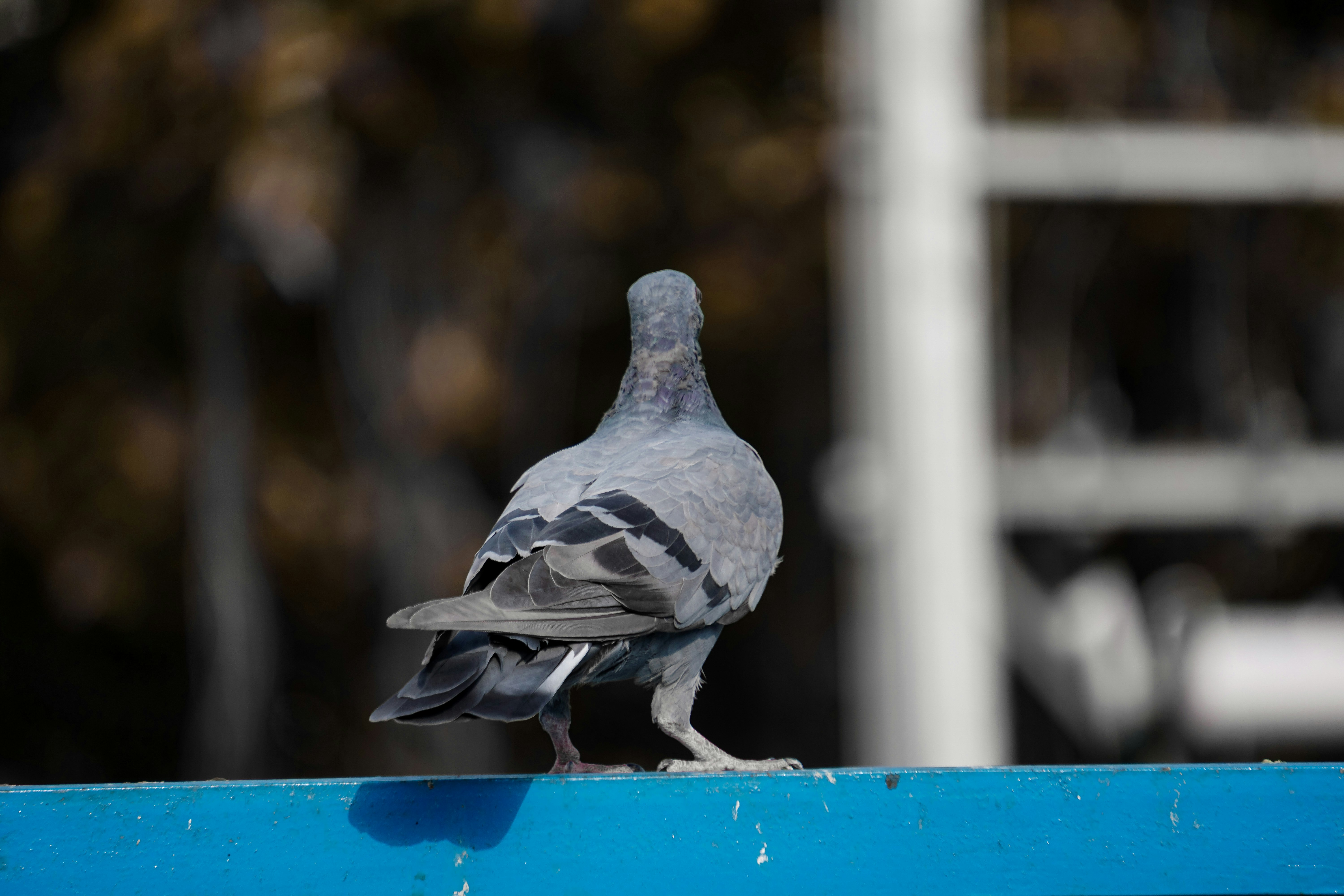 Photo by __tasveerwala