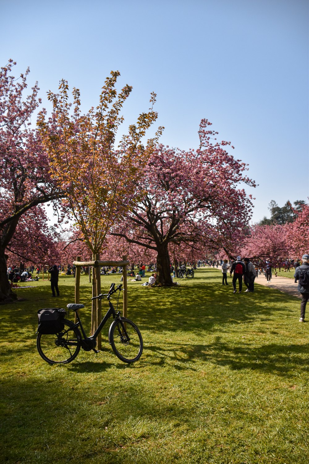 people standing on green grass field near brown leaf trees during daytime