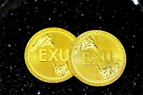 Two gold-colored coins with the letters EXU embossed in the center, featuring patterns resembling mountain peaks on a textured background. The coins are placed on a bed of black granules.