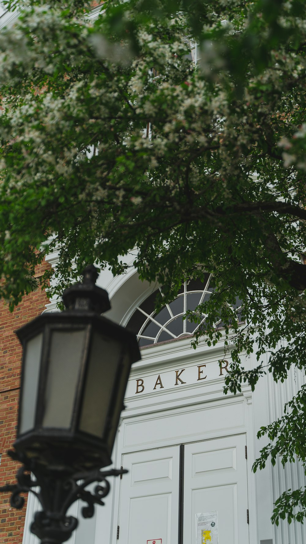 black street lamp near green tree during daytime