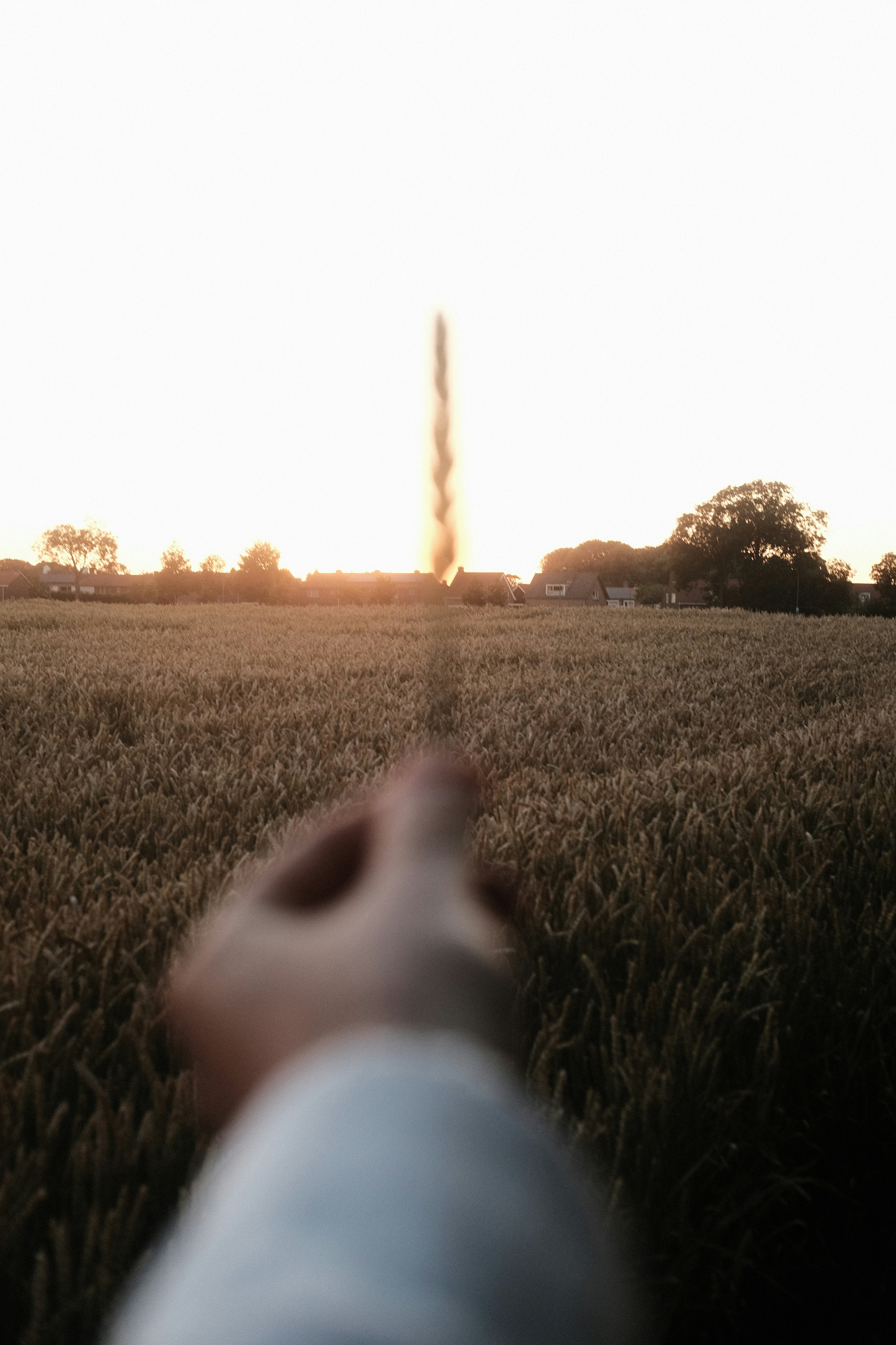 green grass field during sunset