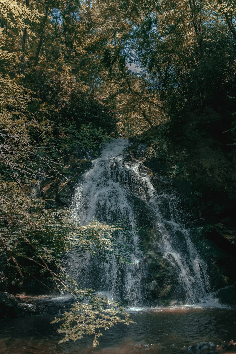 water falls in forest during daytime