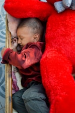 A peaceful toddler sleeping soundly with a favorite stuffed animal.