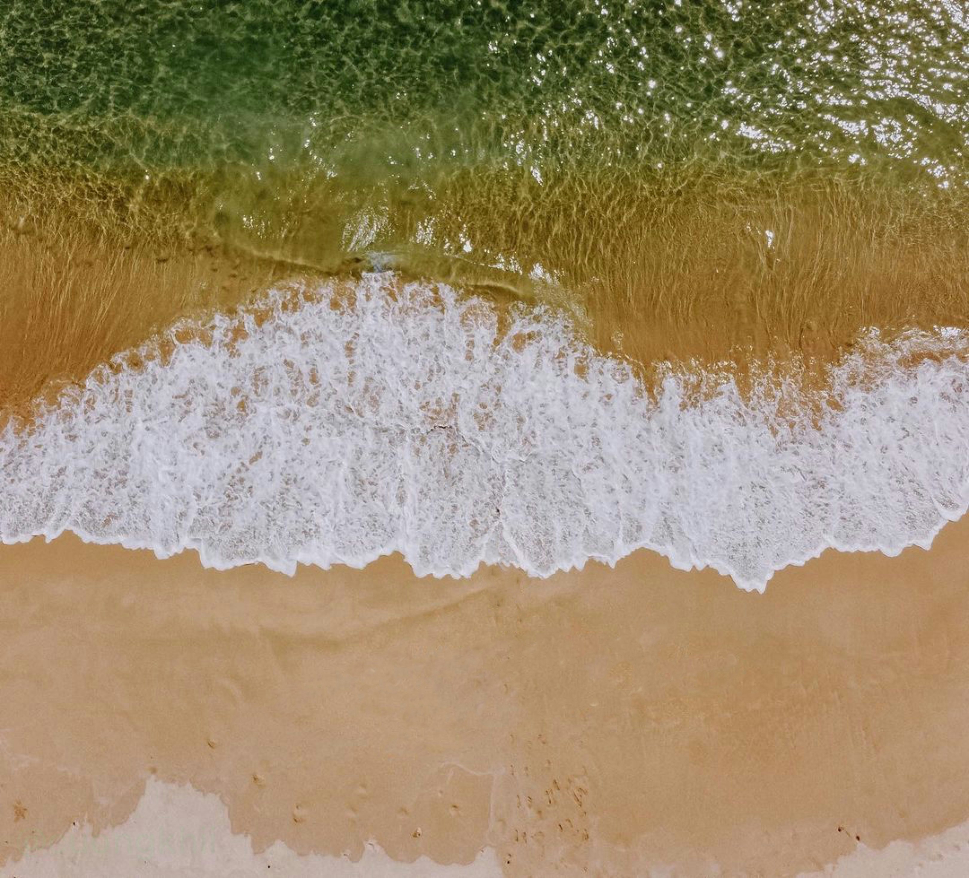 Top10 bông tẩy trang gấu vịt được ưa chuộng nhất bạn nên mua 2023