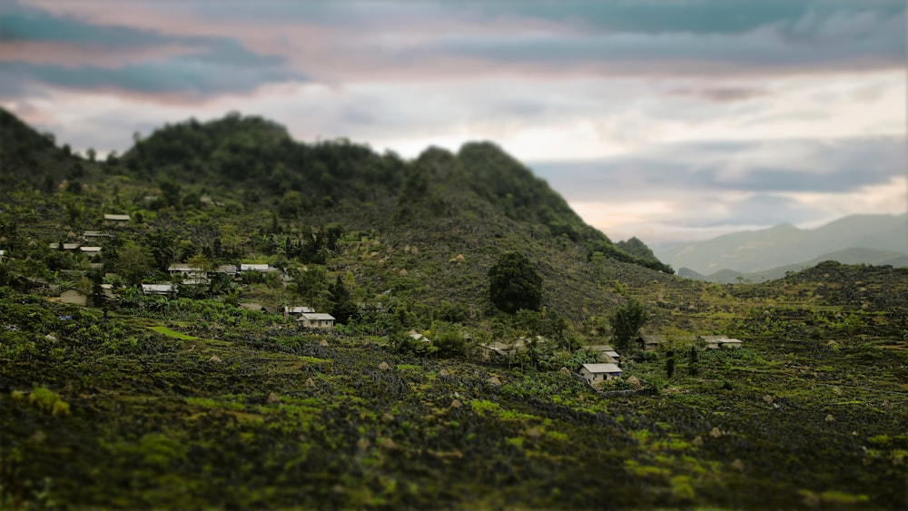 green grass field and mountain during daytime