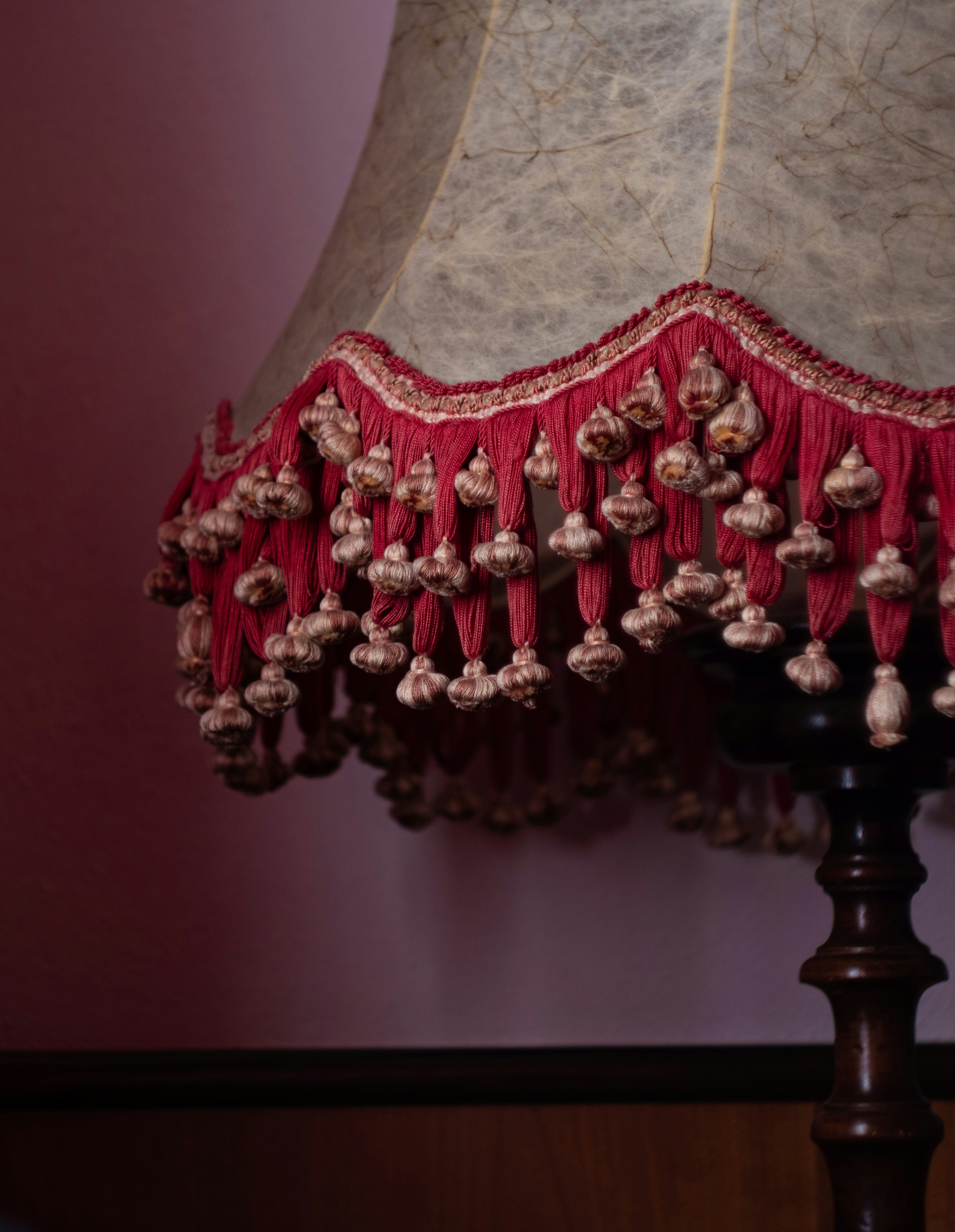 Photo by thomas_vermeersch_