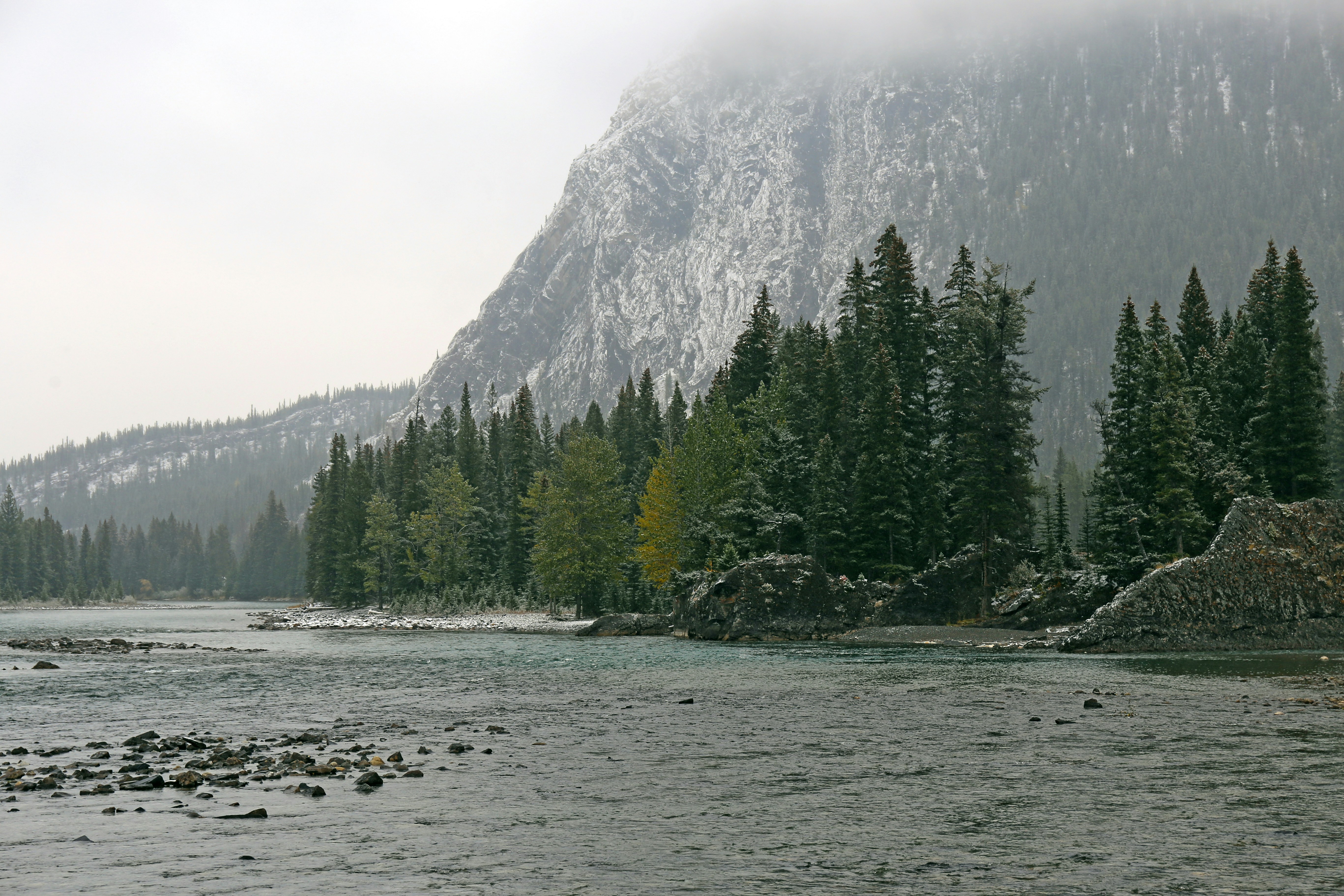 Photo by tommaomaoer