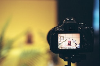 A DSLR camera is positioned on a tripod, capturing an artistic composition that features a small bottle and some plant leaves. The camera's screen displays the scene with a grid overlay, while the background is blurred.