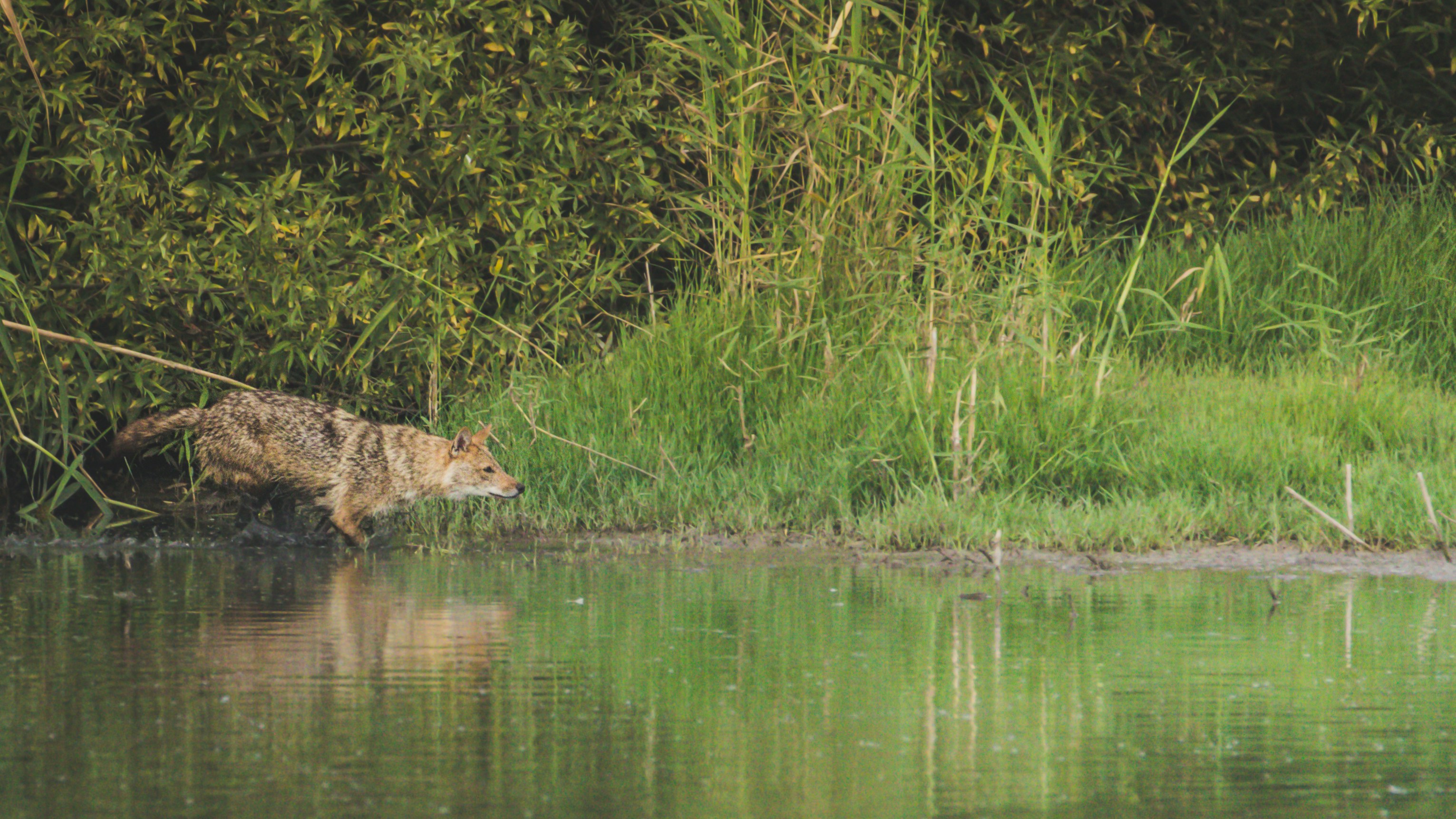 Photo by photographybyd