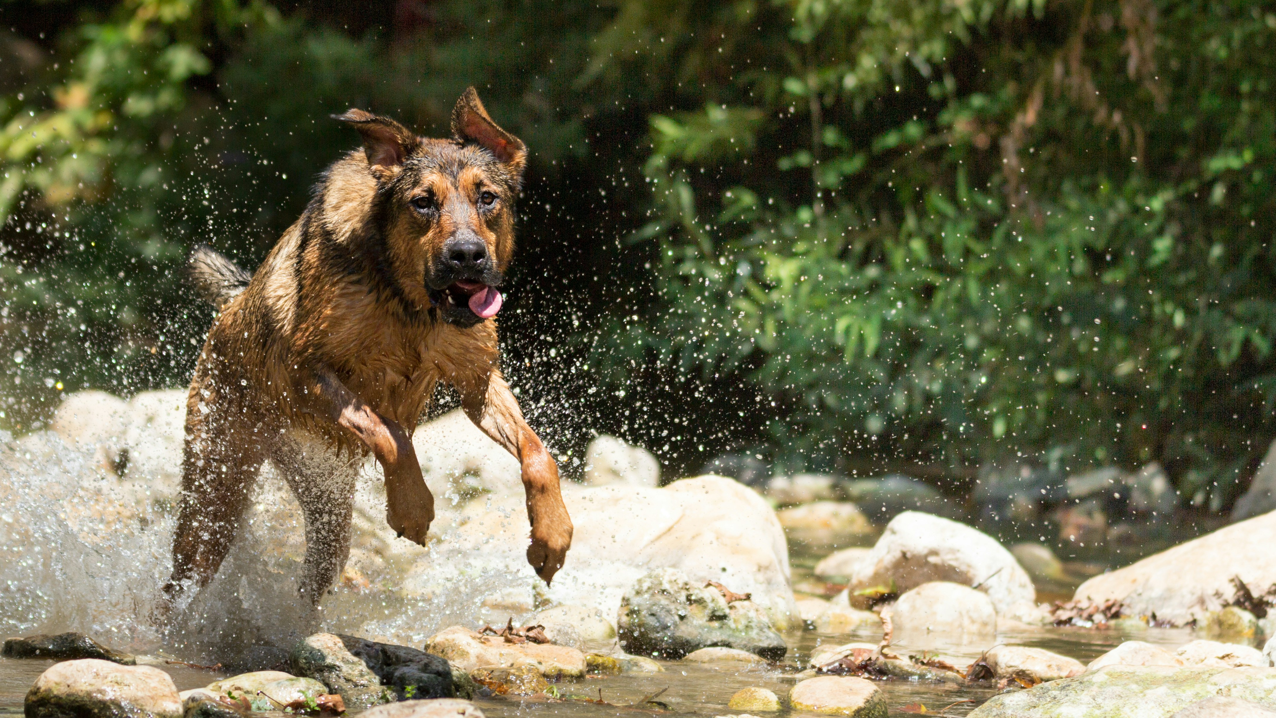 Photo by photographybyd