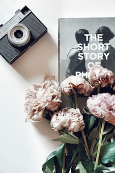 pink roses beside gray and black camera