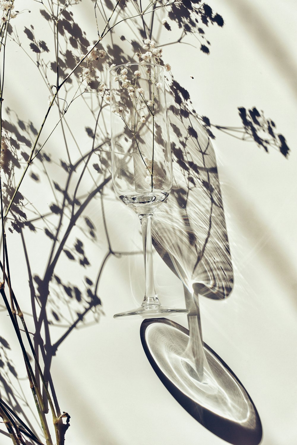 white and brown plant on clear glass vase