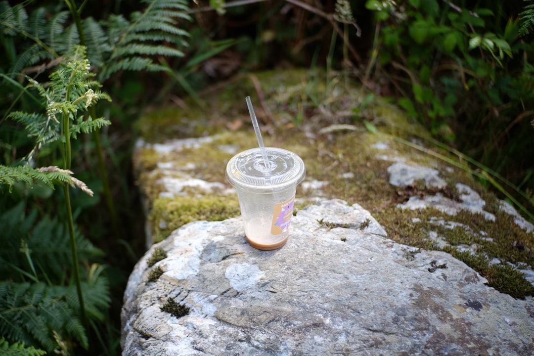 clear plastic cup with straw on gray rock
