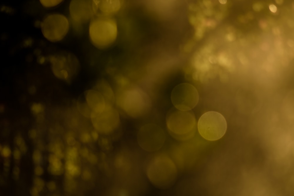 yellow and white bokeh lights