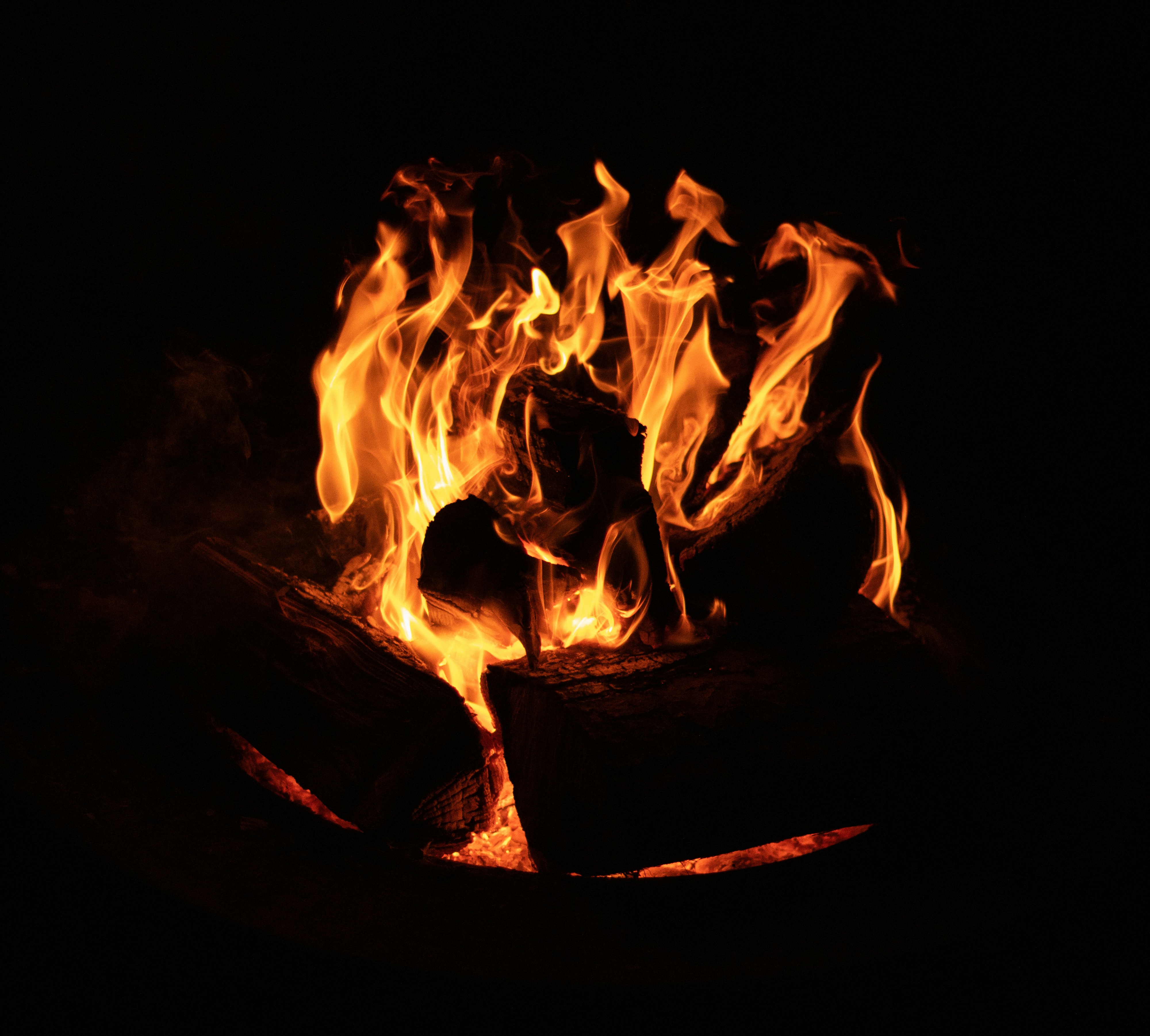 photo-1626864558916-c2903fc48878?ixid=M3wxMjA3fDB8MXxzZWFyY2h8OHx8YXBpJTIwaW50ZWdyYXRpb258ZW58MHx8fHwxNzY3MDQ1NjQ5fDA\u0026ixlib=rb-4.1.0