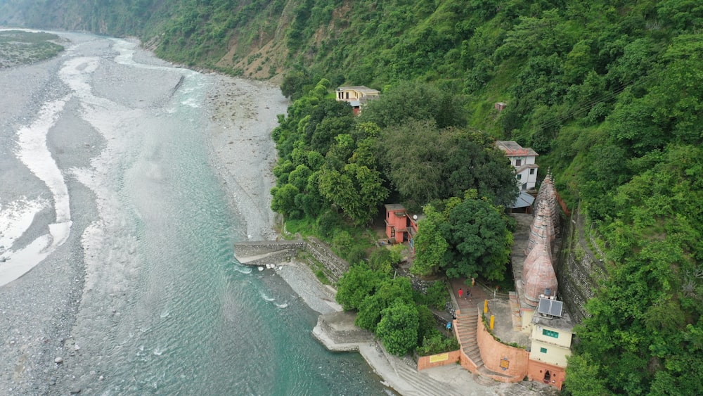 vista aérea de árvores verdes e rio