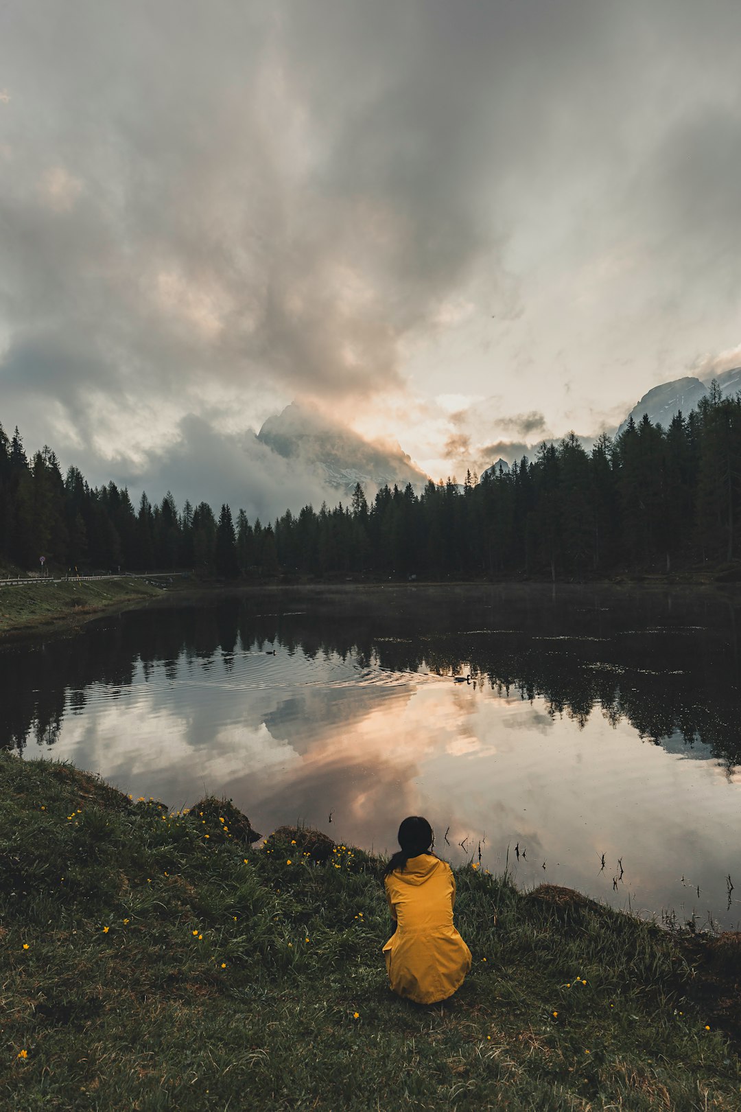 person in red hoodie sitting on grass near lake during daytime