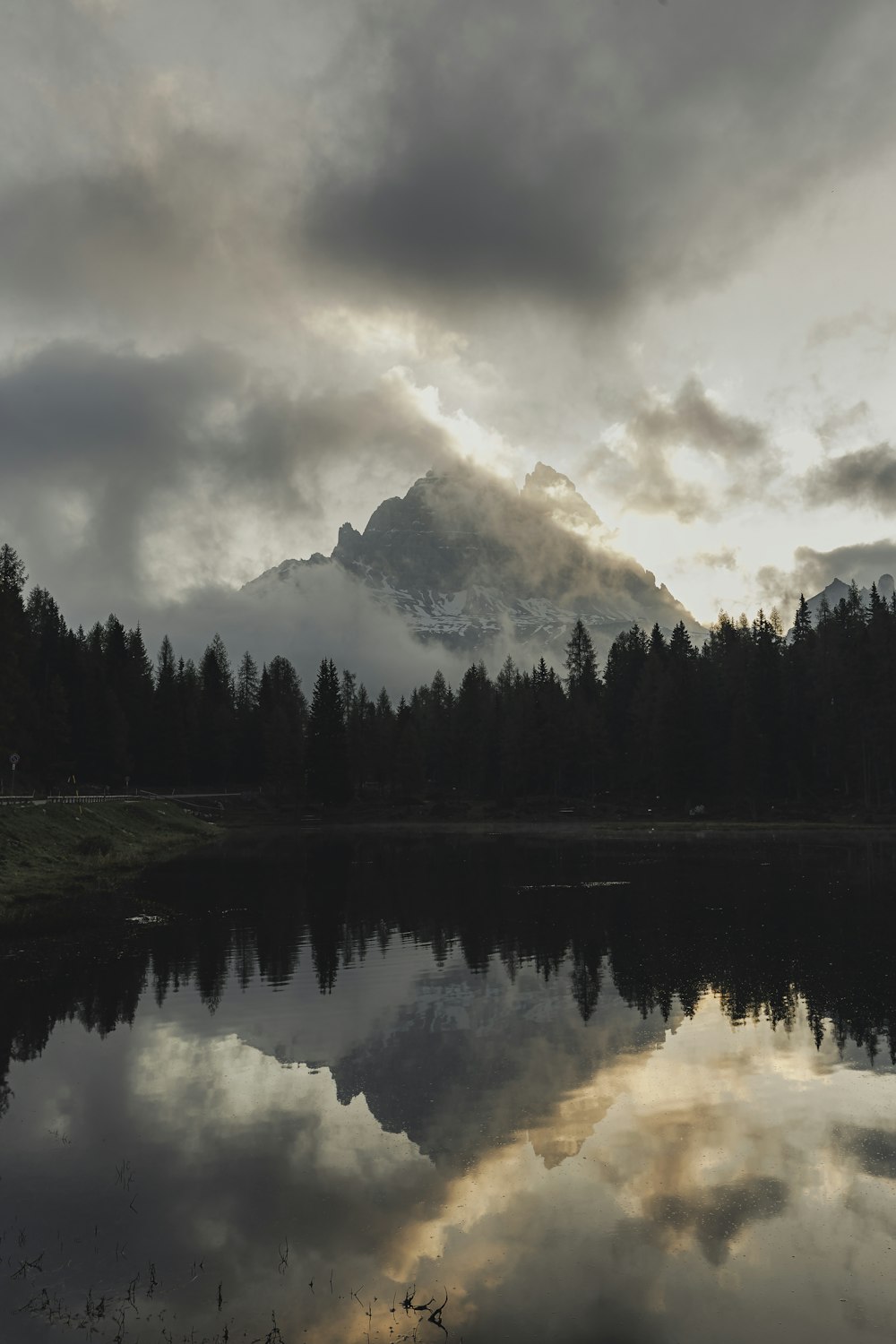 green trees near lake under cloudy sky during daytime