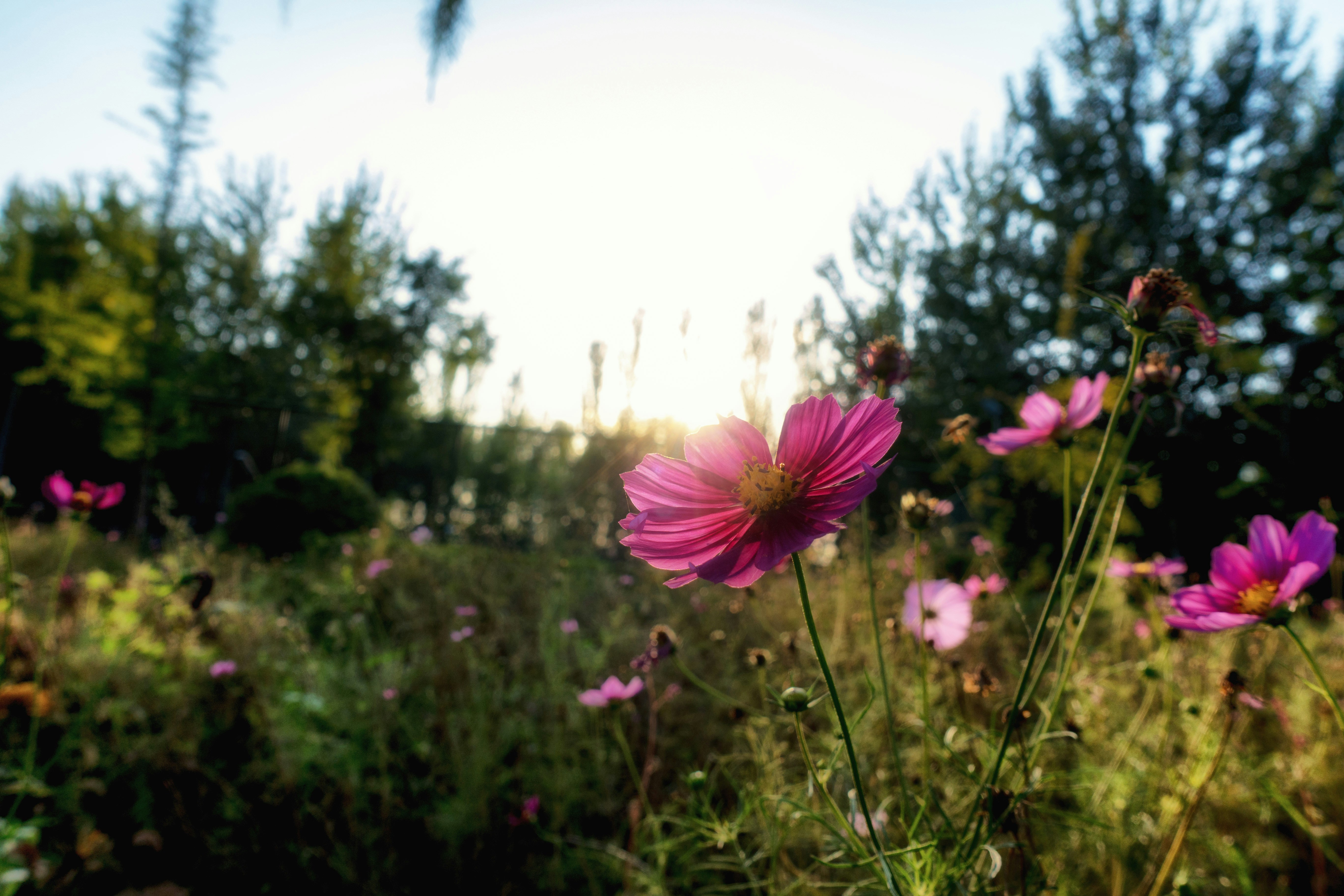 Photo by catcherxuefeng