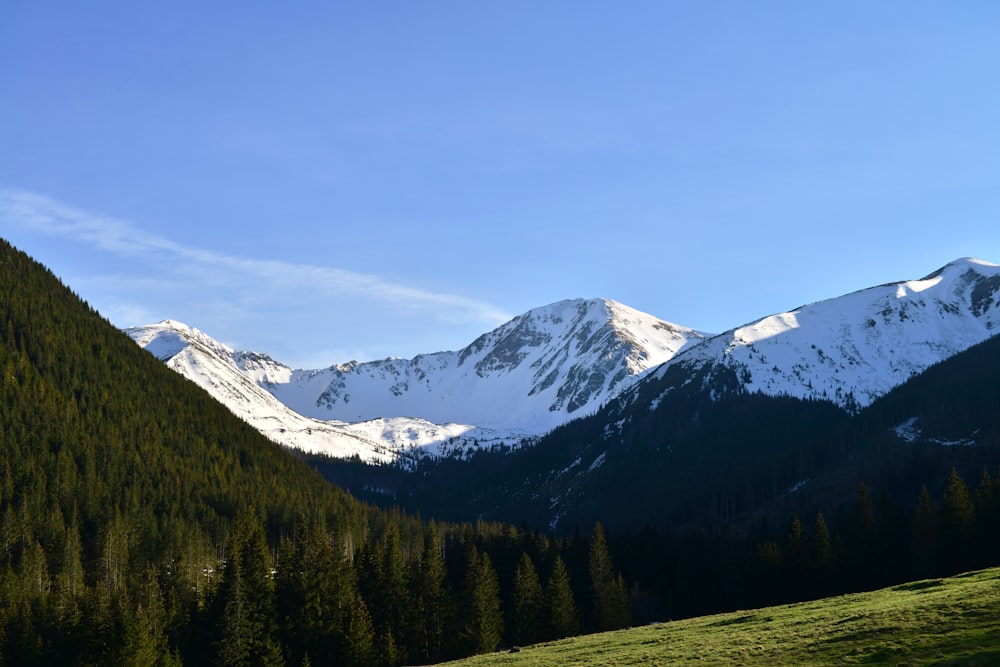 snow covered mountain during daytime