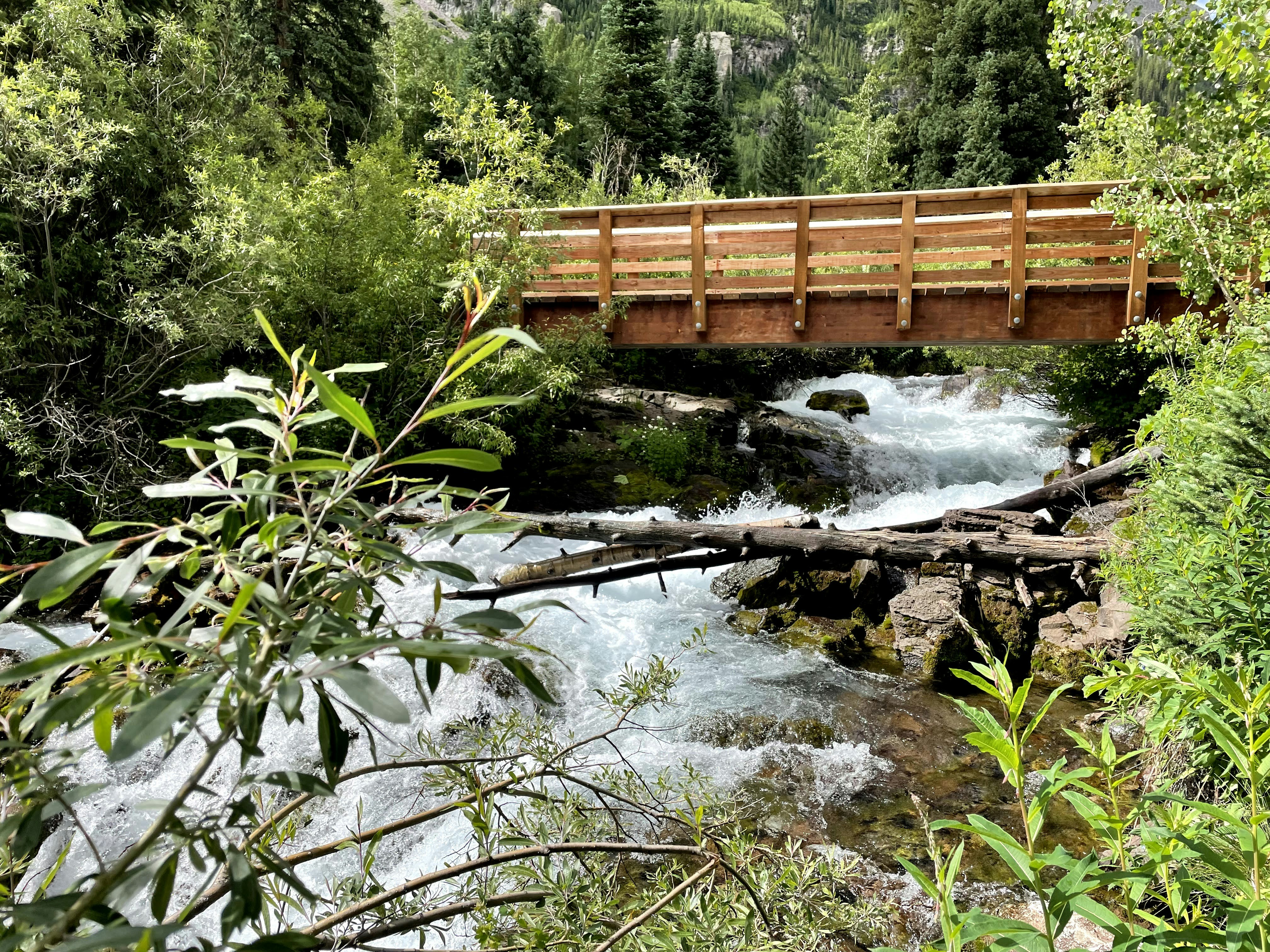 Photo by shalabhvyas