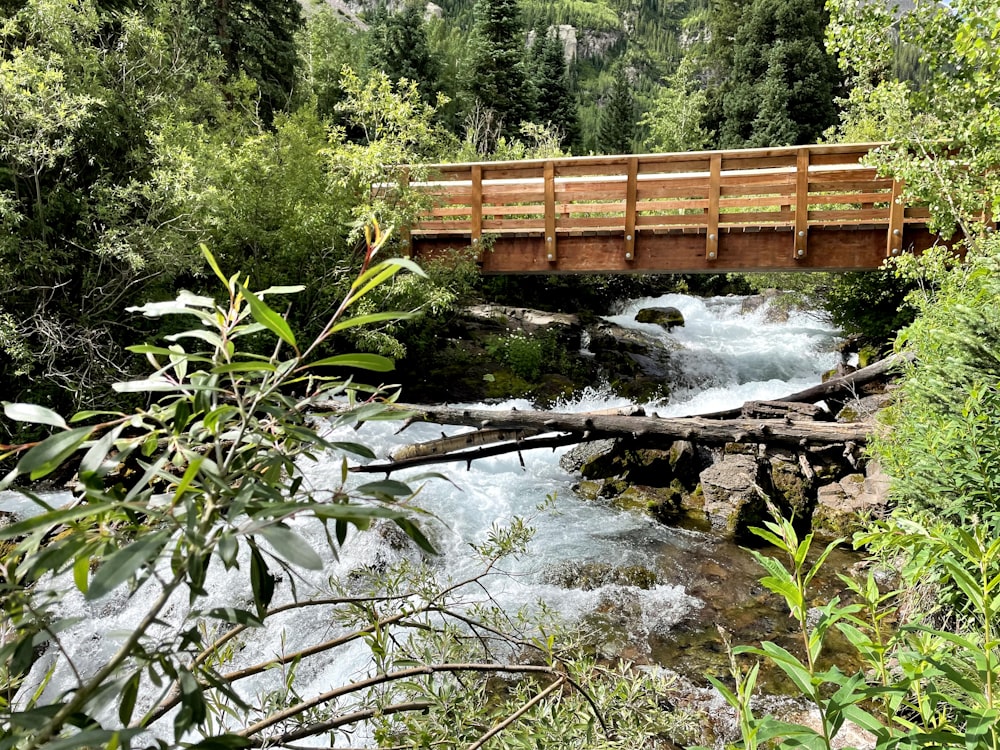 brown wooden bridge over river