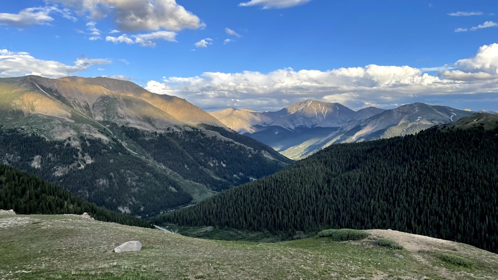 green trees on green grass field near mountains under blue sky during daytime