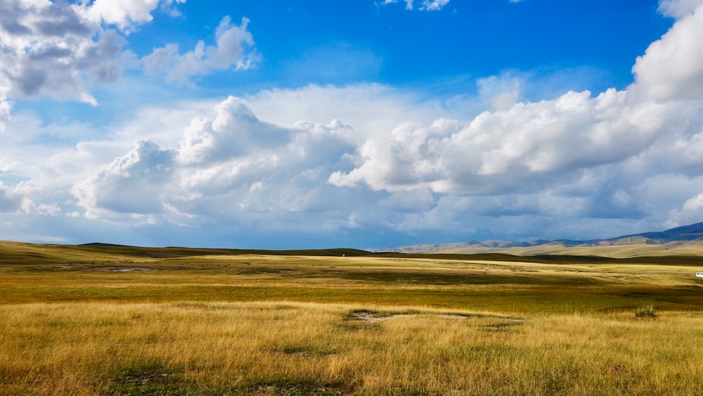 campo de grama verde sob nuvens brancas e céu azul durante o dia