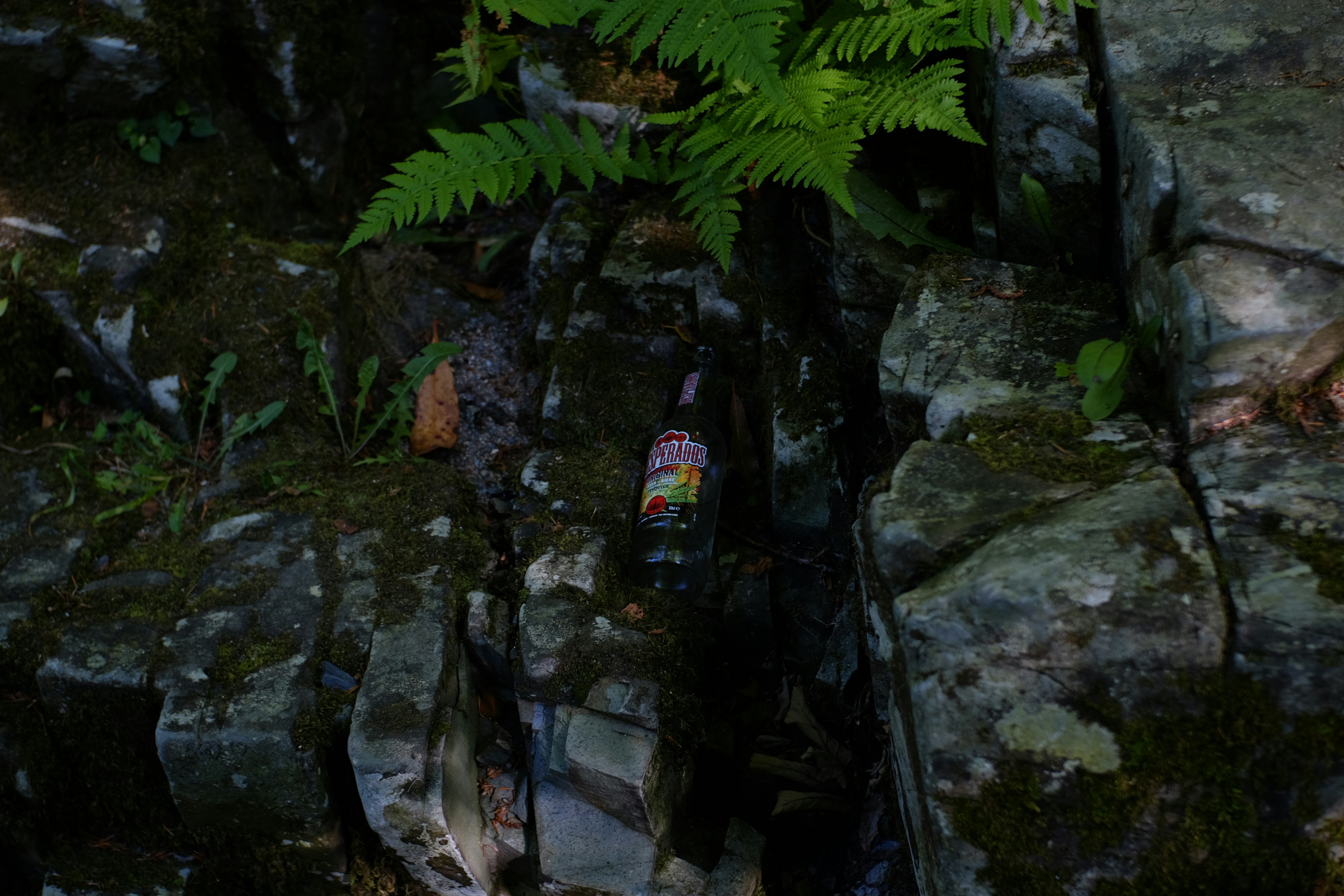 The Biological Reset