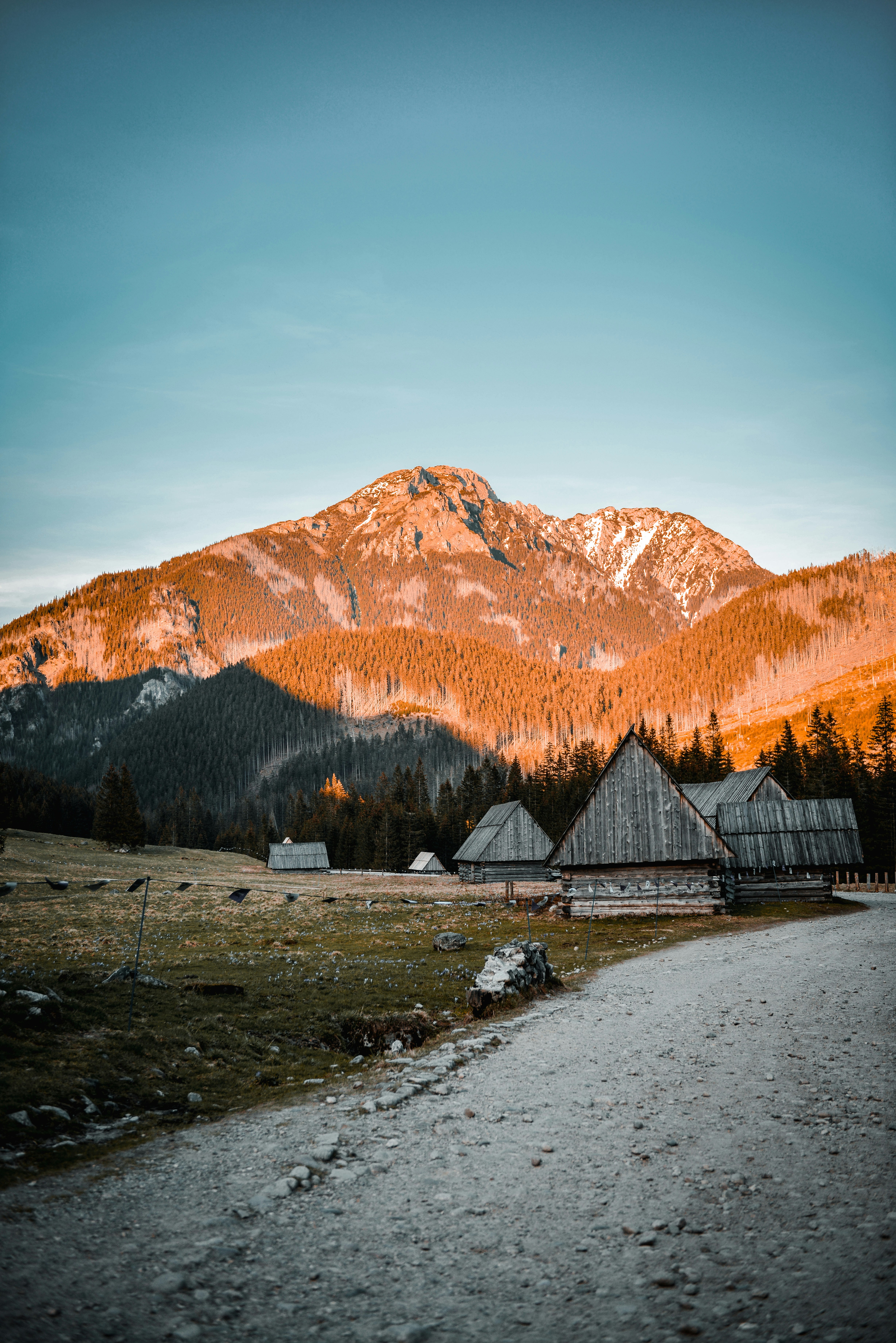 Photo by alexandra_p_d