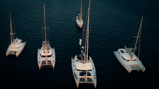 Several sailboats and catamarans are positioned on calm, dark blue water. The boats are arranged in an organized pattern, illuminated by soft lighting that highlights their white hulls against the deep color of the ocean.