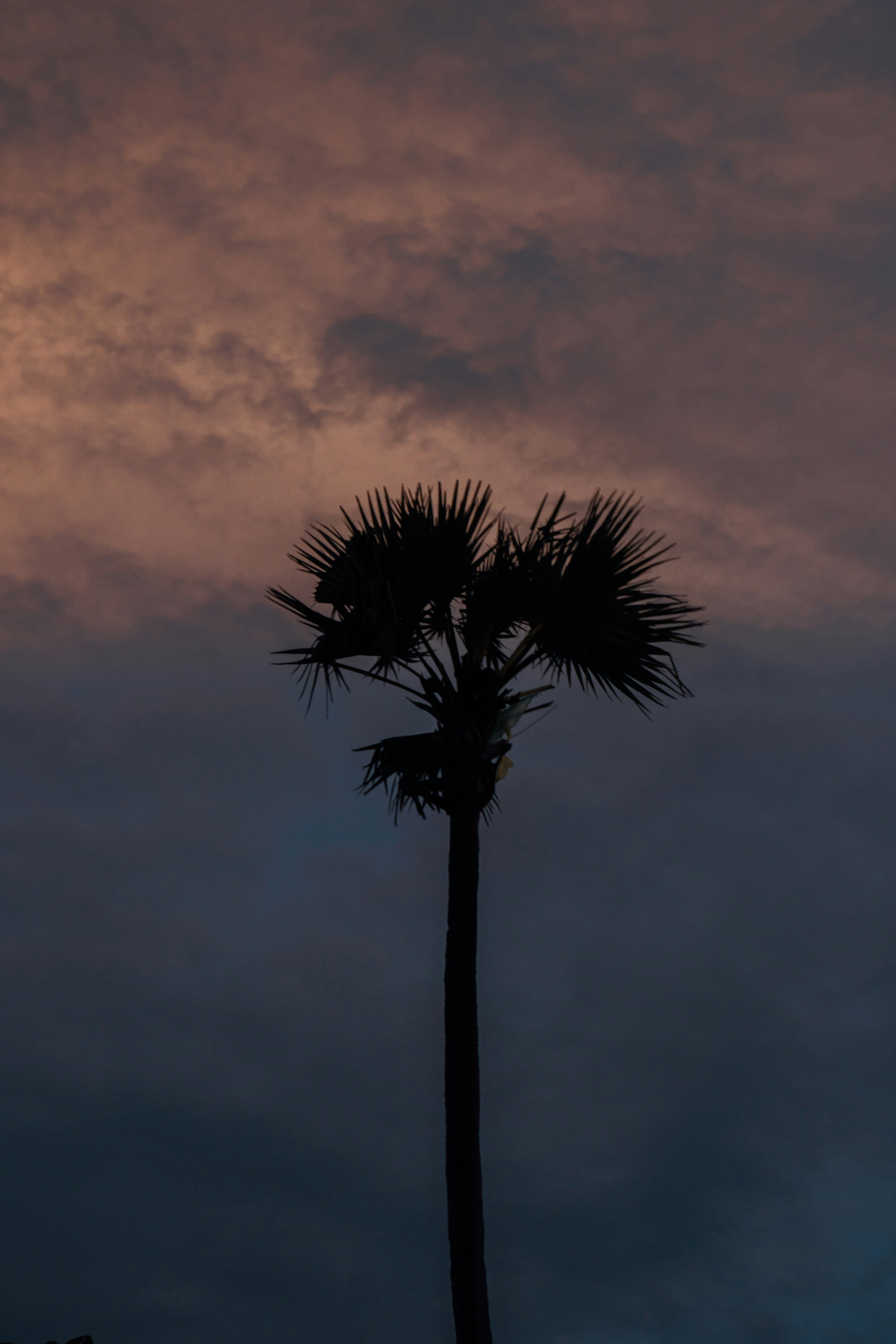 Photo by p_kuzovkova