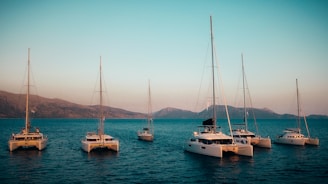 Several catamarans docked on a calm sea at sunset.