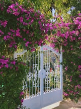 A friendly Irongate Fencing Solutions team member answering a phone call at the Annapolis office.