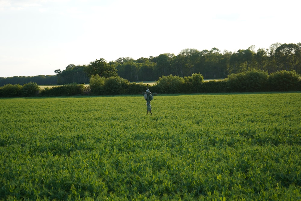 man in black t-shirt and blue denim jeans standing on green grass field during daytime