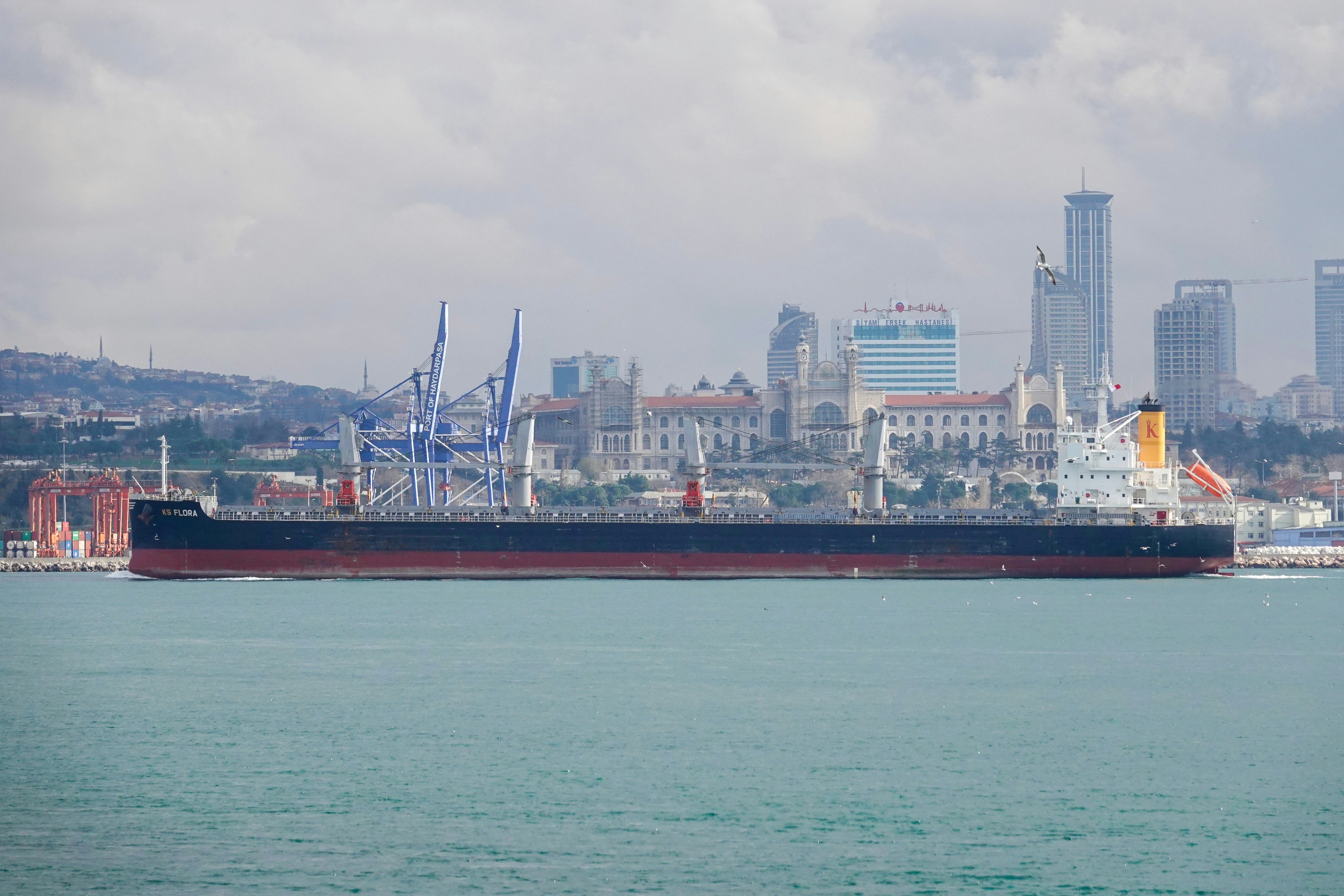 red and white ship on sea near city buildings during daytime